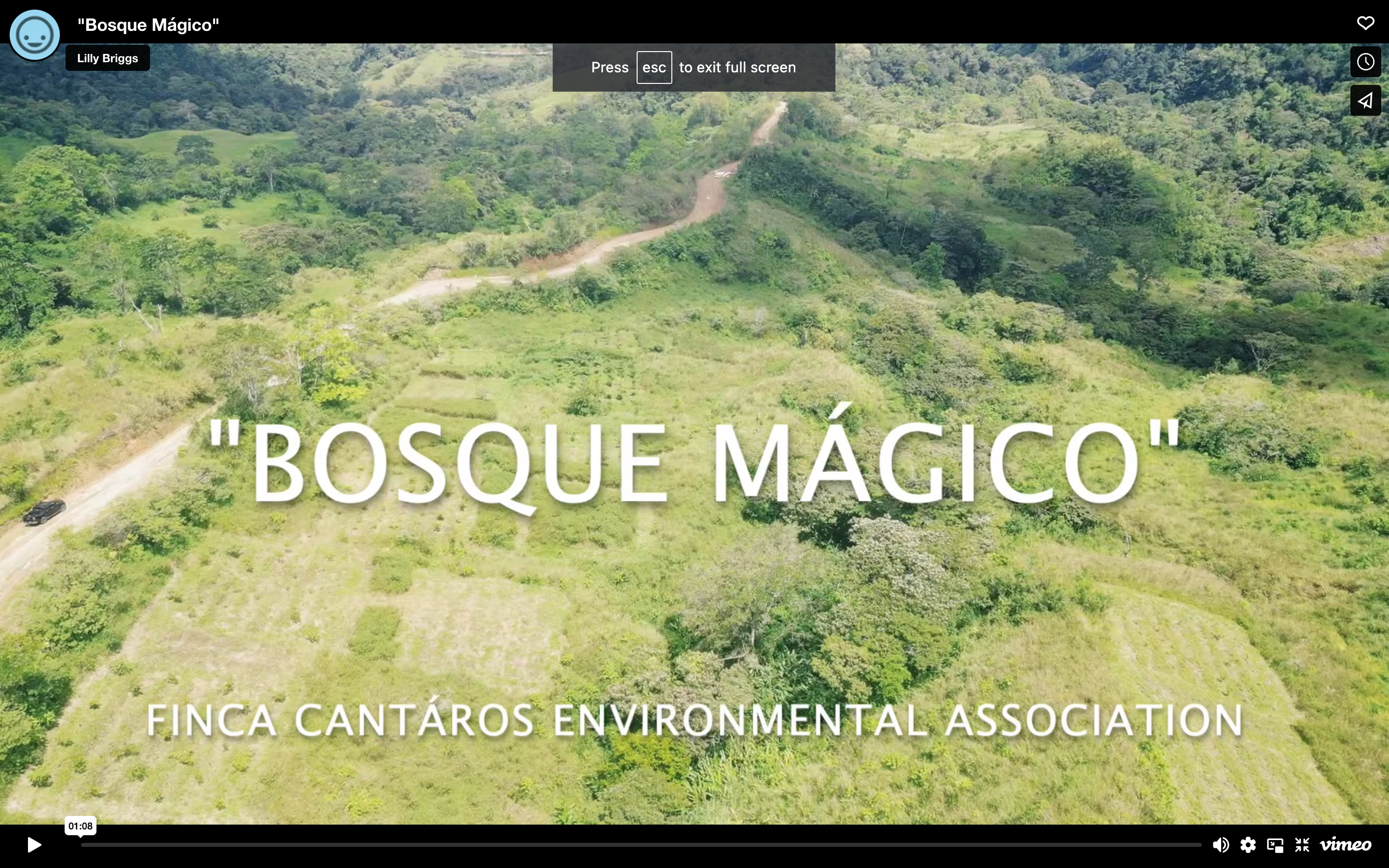 Learn more about our “Bosque Mágico” (Magic Forest) project